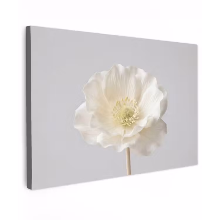 Bloem - Minimalistisch -Wit canvas 2cm klein -z3d