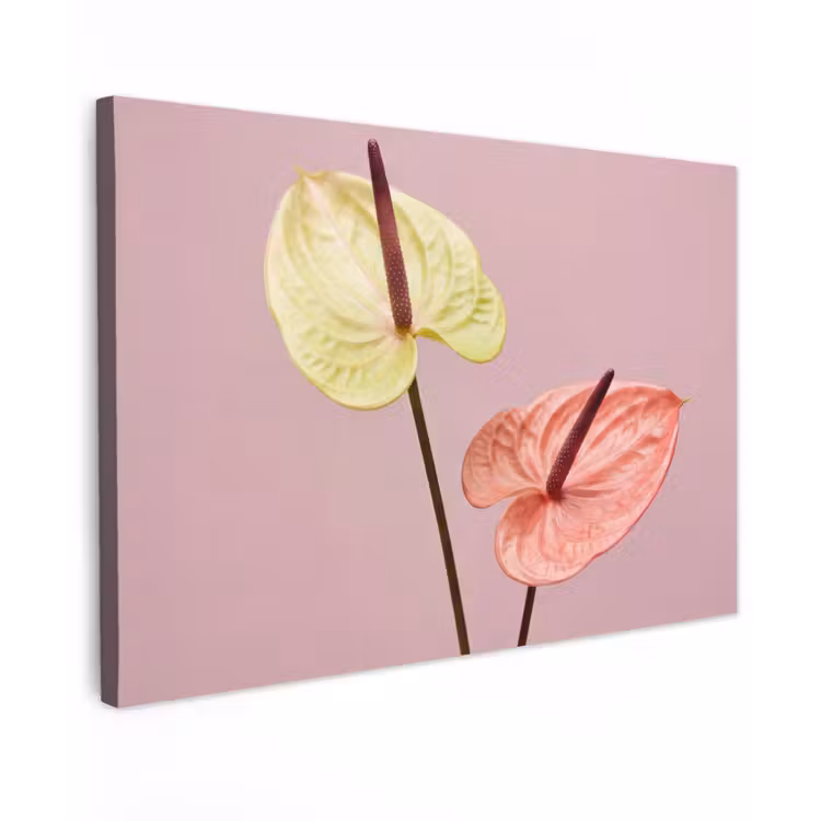 Bloemen - Anthuriums - Geel - Roze canvas 2cm klein -z3d
