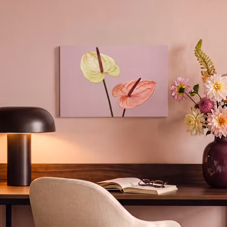 Bloemen - Anthuriums - Geel - Roze canvas 2cm klein -sfeer4
