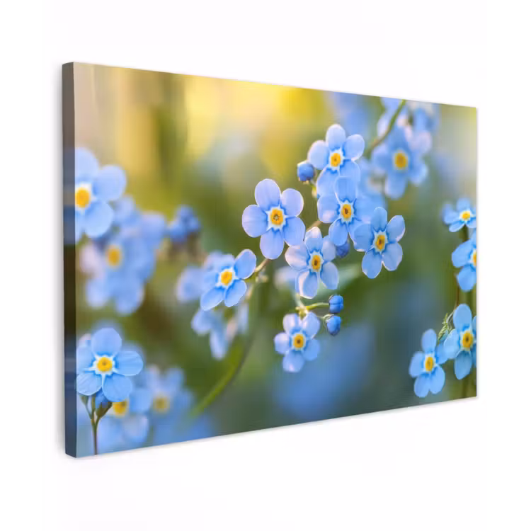 Bloemetjes - Blauw - Vergeet mij nietjes canvas 2cm klein -z3d