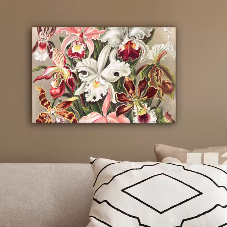 Bloemen - Ernst Haeckel - Vintage - Orchidee canvas 2cm klein -sfeer3