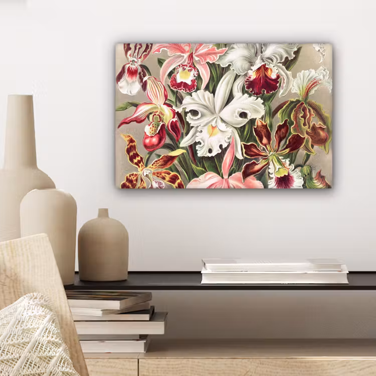 Bloemen - Ernst Haeckel - Vintage - Orchidee canvas 2cm klein -sfeer6