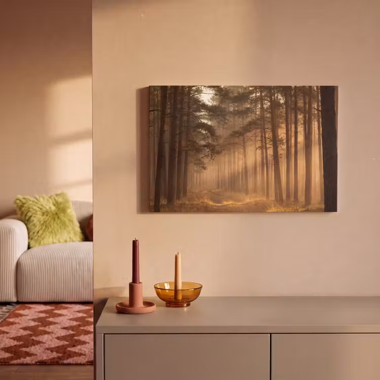 Bos - Mist - Zonlicht canvas 2cm klein -sfeer1