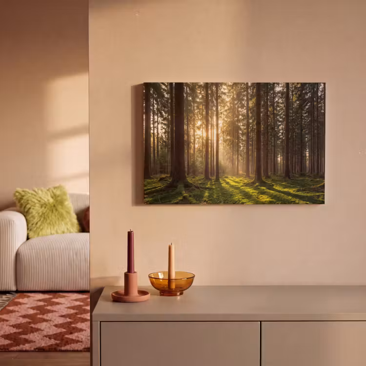 Bos - Gras - Zonlicht canvas 2cm klein -sfeer1