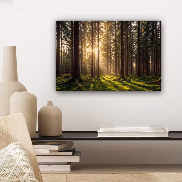 Bos - Gras - Zonlicht canvas 2cm klein -sfeer6