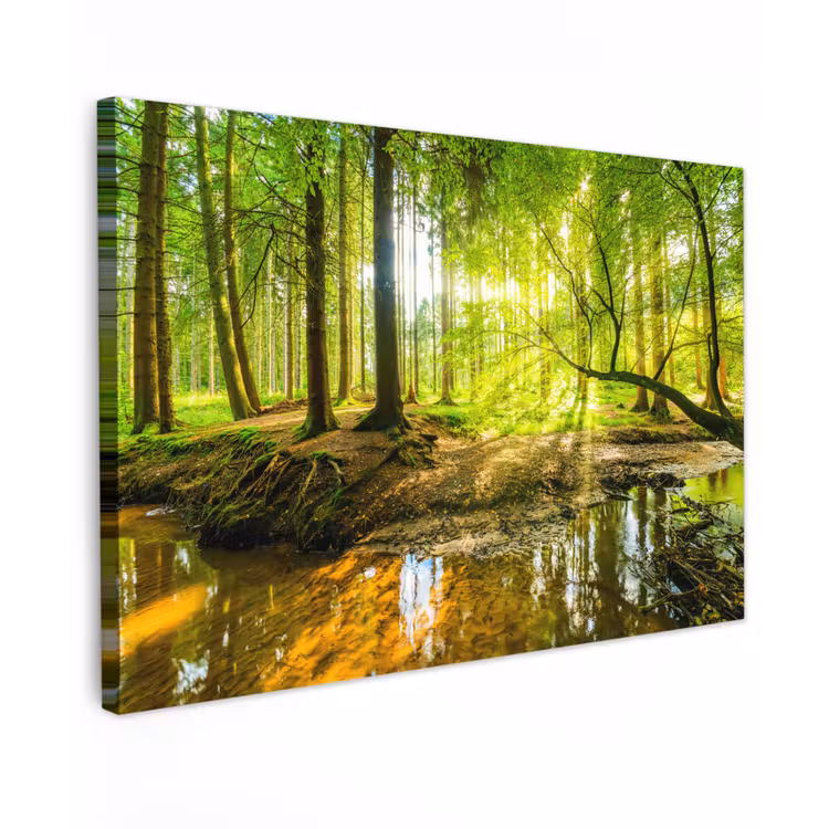 Bos - Landschap - Water - Bomen - Zon - Groen - Natuur canvas 2cm klein -z3d