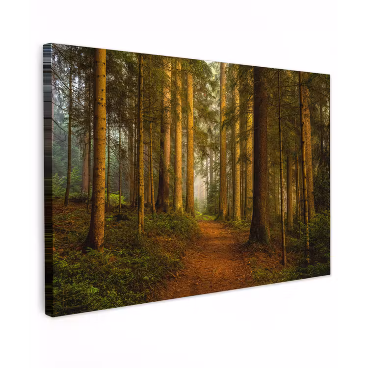 Bos - Natuur - Bomen - Landschap - Bladeren canvas 2cm klein -z3d