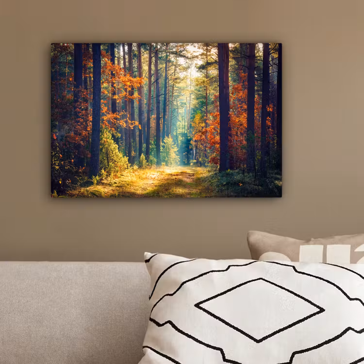 Bos - Zon - Natuur - Herfst canvas 2cm klein -sfeer3