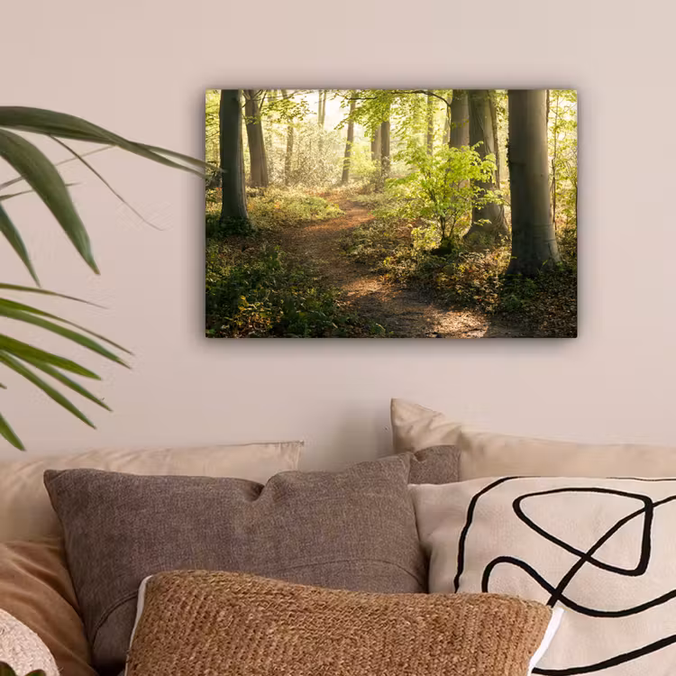 Bos - Bomen - Pad - Zon - Planten - Bladeren - Natuur canvas 2cm klein -sfeer1