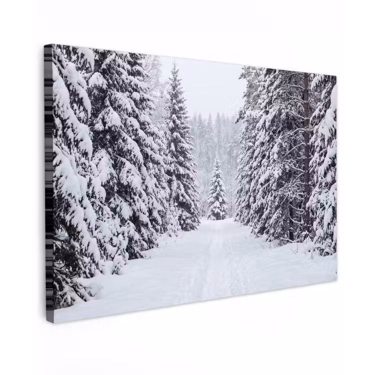Bos - Winter - Sneeuw - Pad - Natuur canvas 2cm klein -z3d