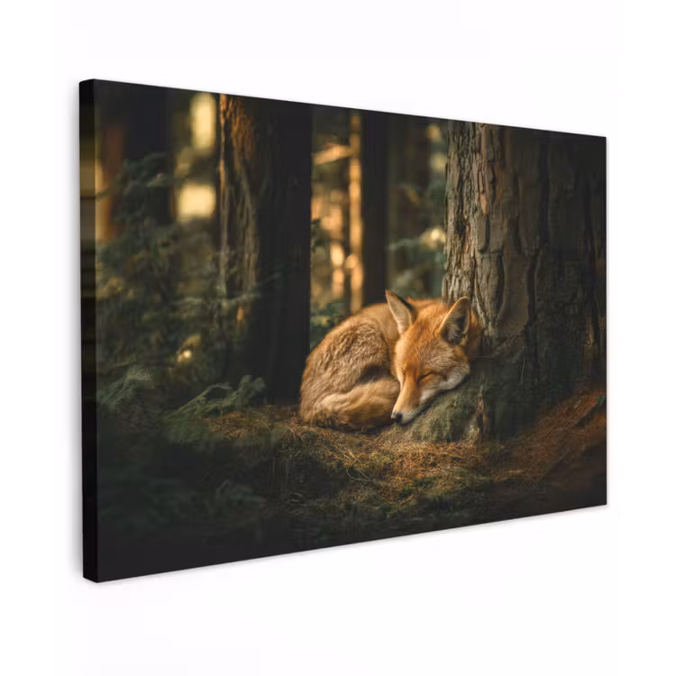 Vos - Bos - Slapen canvas 2cm klein -z3d