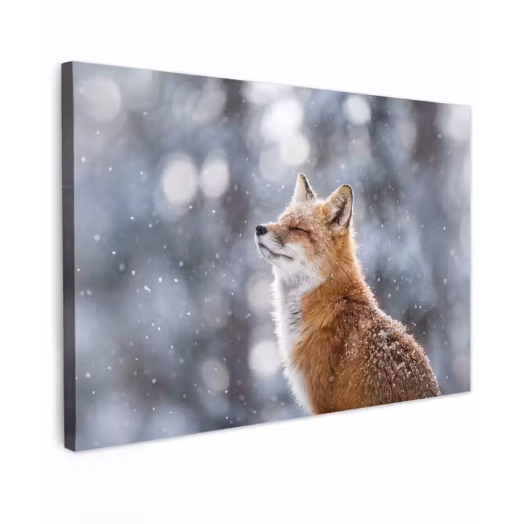 Vos - Sneeuwval - Portret - Winter - Sfeervol canvas 2cm klein -z3d