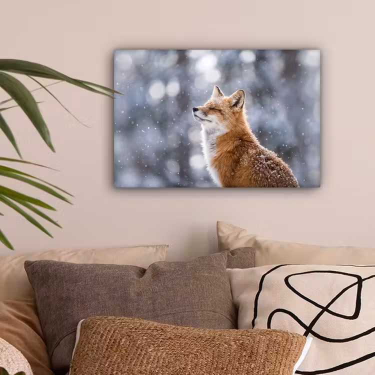 Vos - Sneeuwval - Portret - Winter - Sfeervol canvas 2cm klein -sfeer1