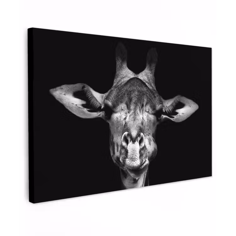 Giraffe - Portret - Dieren - Zwart - Wit canvas 2cm klein -z3d