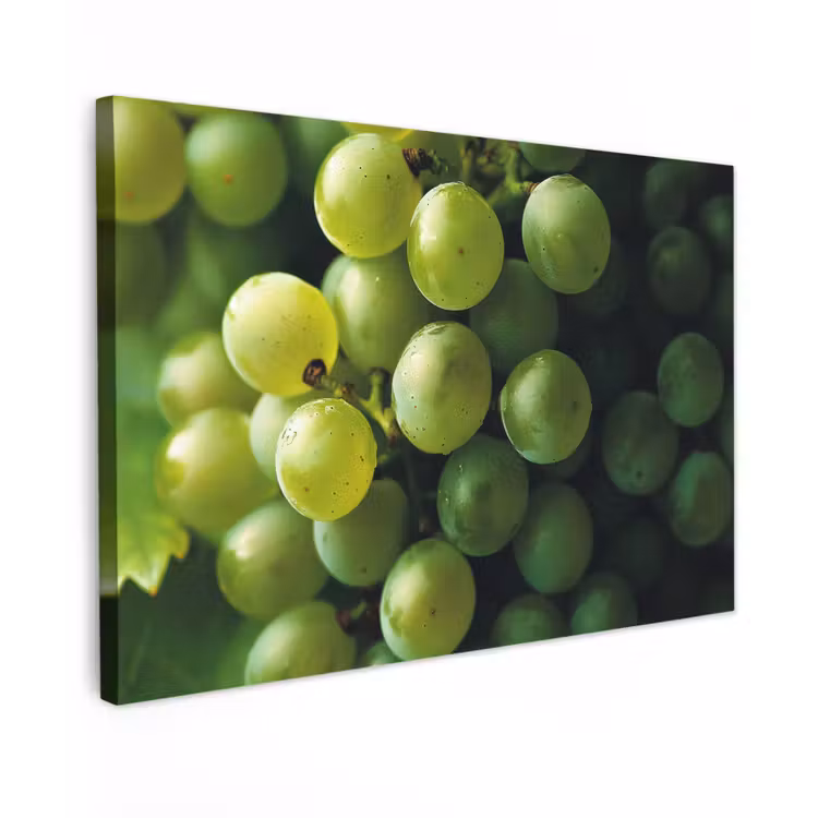Druiven - Tros - Groen canvas 2cm klein -z3d