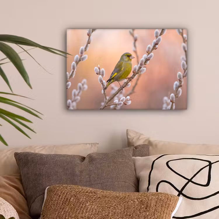 Groenling - Katjes - Lente - Natuur - Zacht canvas 2cm klein -sfeer1