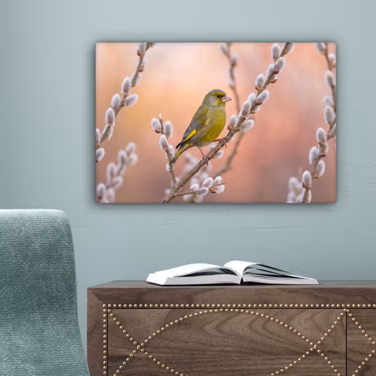 Groenling - Katjes - Lente - Natuur - Zacht canvas 2cm klein -sfeer4