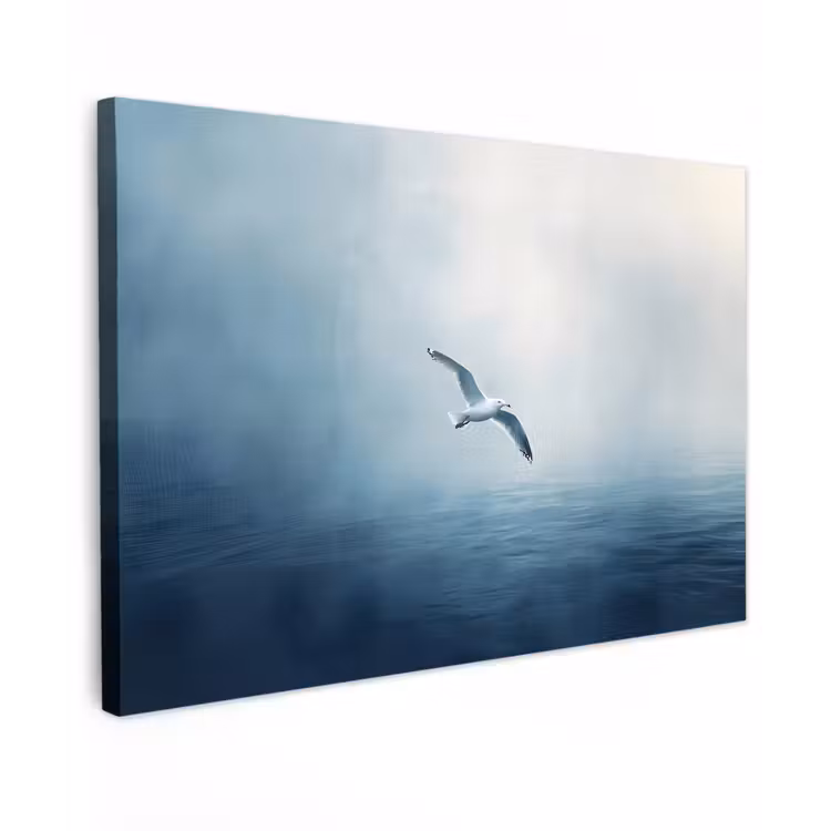 Meeuw - Wit - Zee - Mistig canvas 2cm klein -z3d