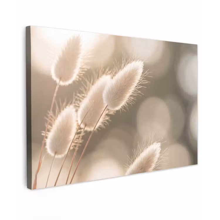 Hazestaartgras - Wit - Zonlicht canvas 2cm klein -z3d