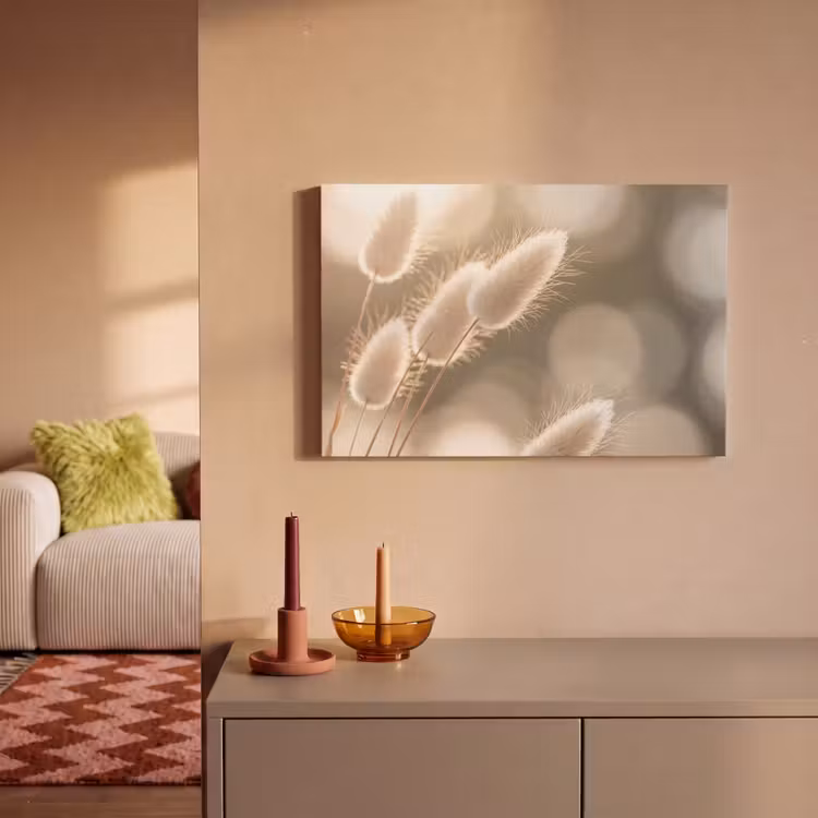 Hazestaartgras - Wit - Zonlicht canvas 2cm klein -sfeer1