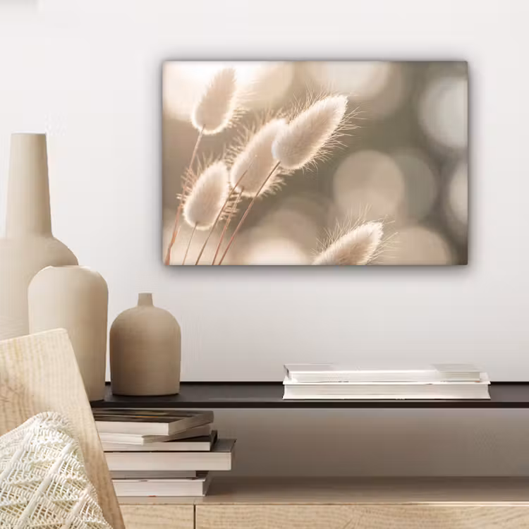 Hazestaartgras - Wit - Zonlicht canvas 2cm klein -sfeer6
