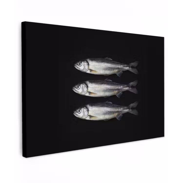 Haring - Vissen - Zwart canvas 2cm klein -z3d