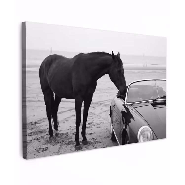 Paard - Auto - Zwart - Wit canvas 2cm klein -z3d