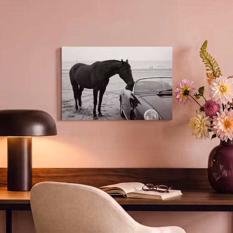 Paard - Auto - Zwart - Wit canvas 2cm klein -sfeer4
