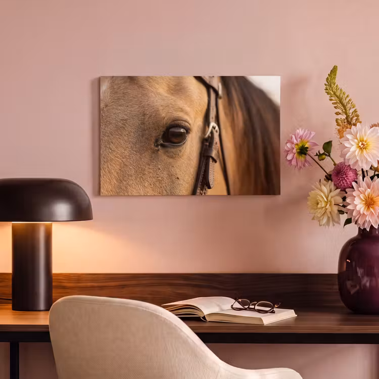 Pferd - Auge - Braun canvas 2cm klein -sfeer4