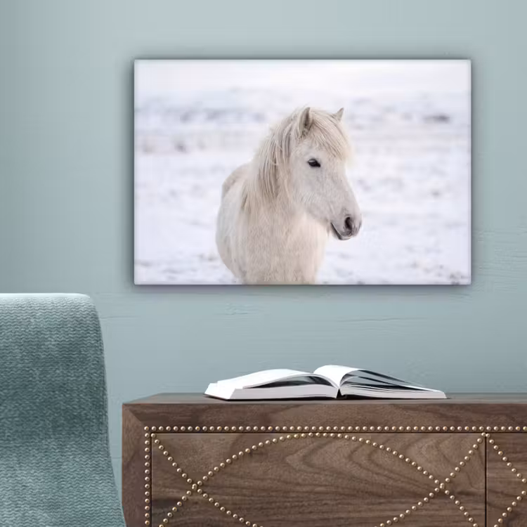 Paard - Kop - Winter - Dieren - Wit canvas 2cm klein -sfeer4