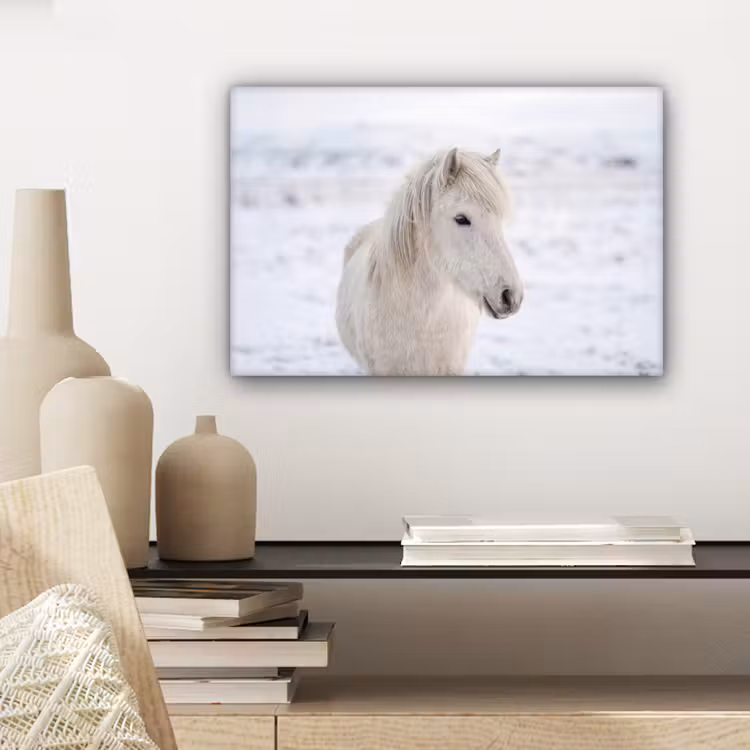 Paard - Kop - Winter - Dieren - Wit canvas 2cm klein -sfeer6