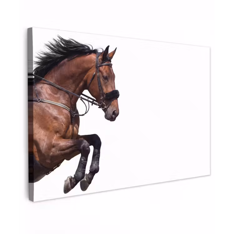 Paard - Springen - Modern canvas 2cm klein -z3d