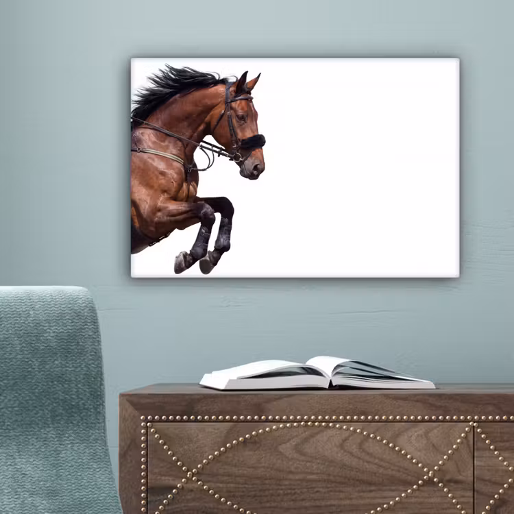Paard - Springen - Modern canvas 2cm klein -sfeer4