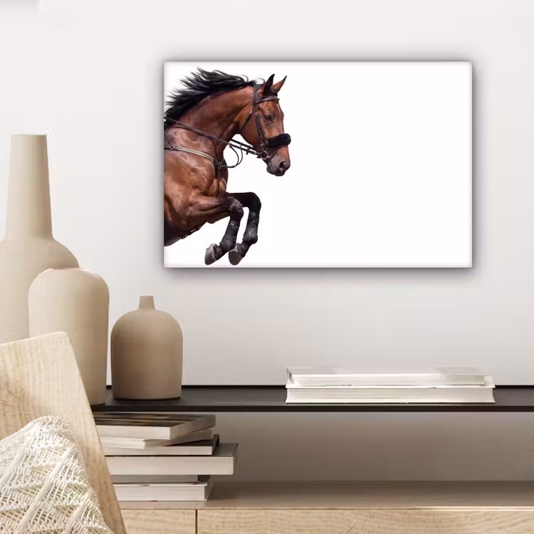 Paard - Springen - Modern canvas 2cm klein -sfeer6