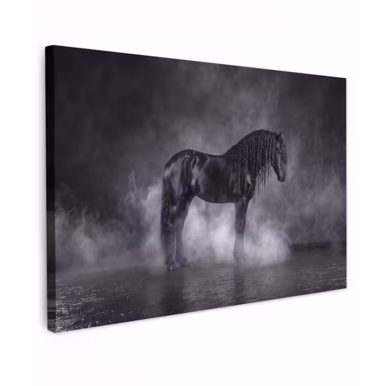 Paard - Magisch - Zwart canvas 2cm klein -z3d