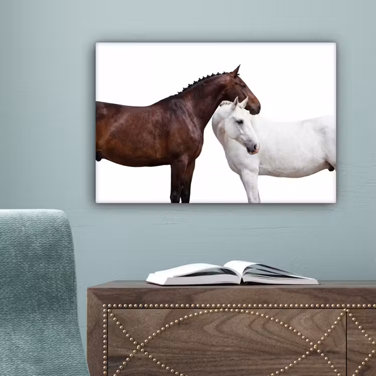 Paard - Modern - Balans canvas 2cm klein -sfeer4