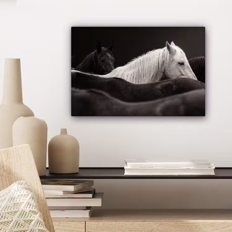 Paarden - Zwart - Wit - Kudde canvas 2cm klein -sfeer6