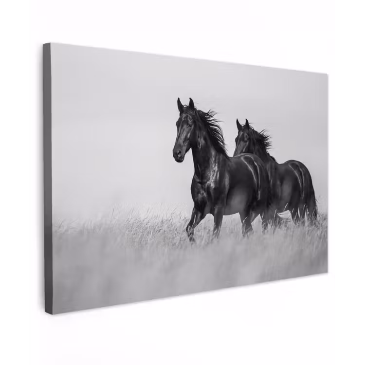 Paarden - Gras - Zwart - Wit canvas 2cm klein -z3d