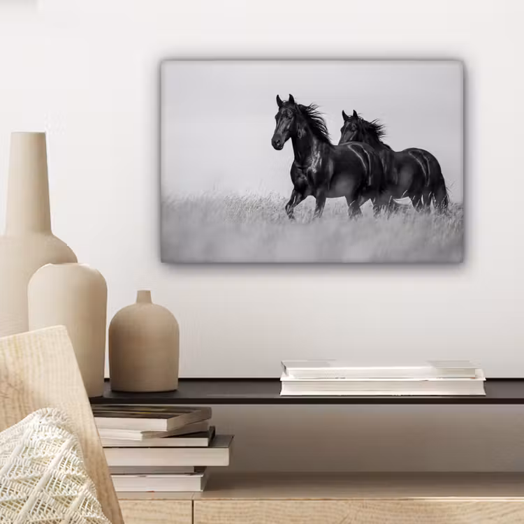 Paarden - Gras - Zwart - Wit canvas 2cm klein -sfeer6
