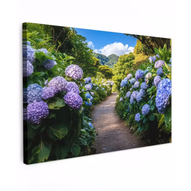 Hortsensia - Pad - Bloemen canvas 2cm klein -z3d