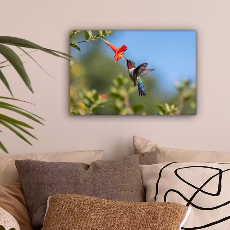 Kolibrie - Bloem - Natuur - Groen canvas 2cm klein -sfeer1