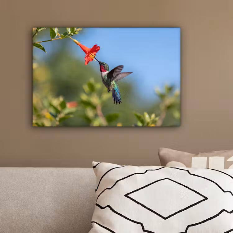 Kolibrie - Bloem - Natuur - Groen canvas 2cm klein -sfeer3