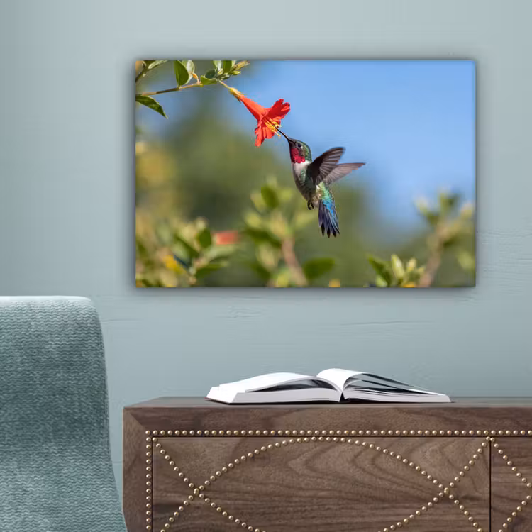 Kolibrie - Bloem - Natuur - Groen canvas 2cm klein -sfeer4