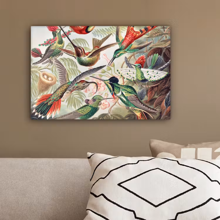 Kolibrie - Vintage - Ernst Haeckel - Vogel - Kunst - Natuur canvas 2cm klein -sfeer3