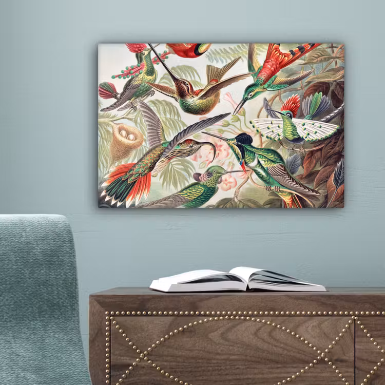 Kolibrie - Vintage - Ernst Haeckel - Vogel - Kunst - Natuur canvas 2cm klein -sfeer4