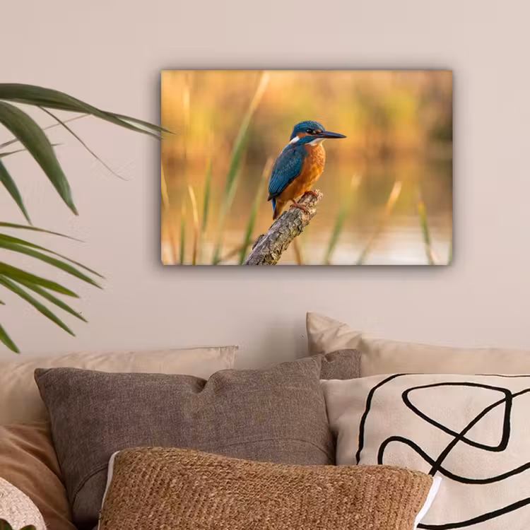 IJsvogel - Tak - Water - Kleurrijk - Levendig canvas 2cm klein -sfeer1