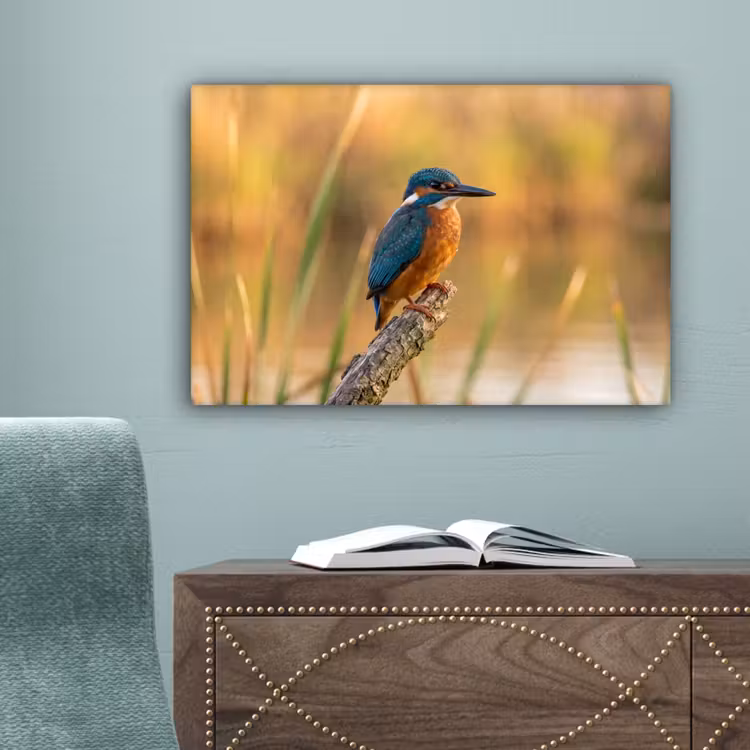 IJsvogel - Tak - Water - Kleurrijk - Levendig canvas 2cm klein -sfeer4