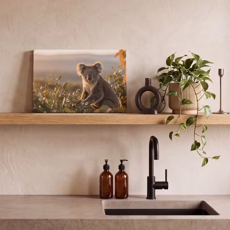 Koala - Bladeren - Ochtendlicht canvas 2cm klein -sfeer3