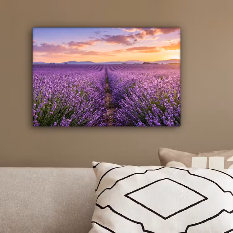 Lavendel - Veld - Natuur - Paars canvas 2cm klein -sfeer3