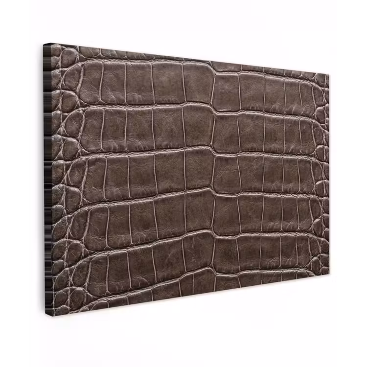 Leer - Krokodil - Mat canvas 2cm klein -z3d
